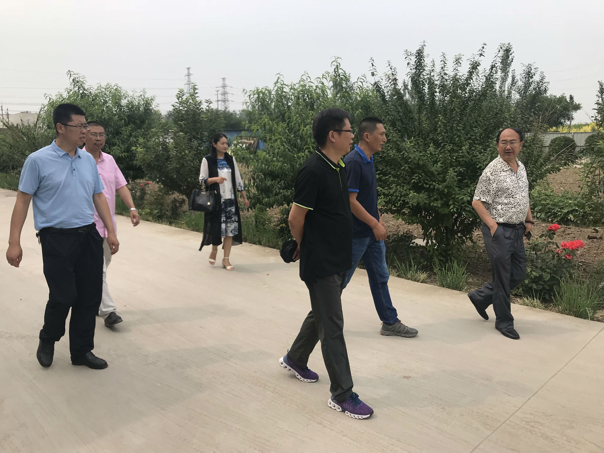 QQ图片20180706103625.jpg